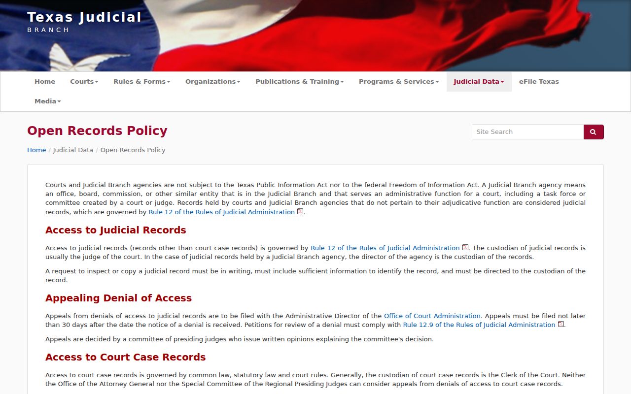 Brewster County warrant check reference showing the Texas courts Rule 12 open-records policy